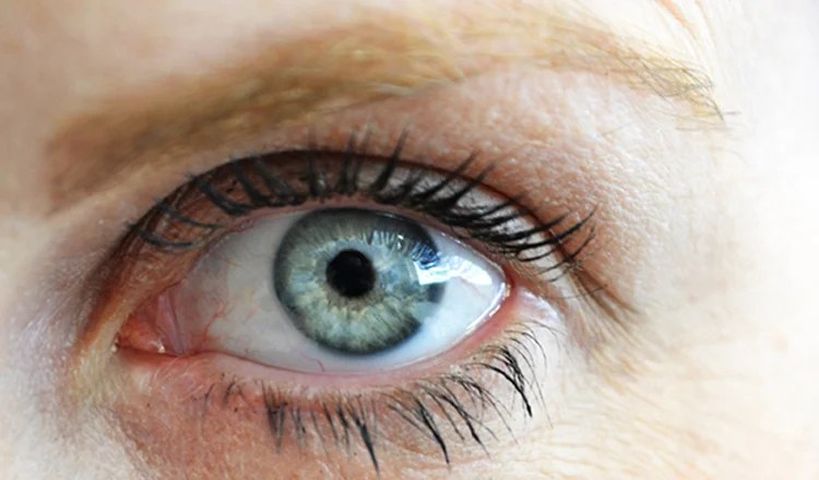 Looking After your Eyes this JulEYE
