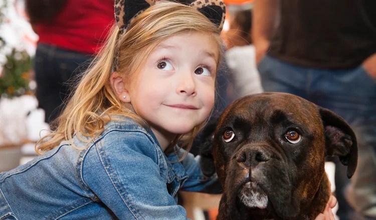 Dog Lovers Show In Melbourne