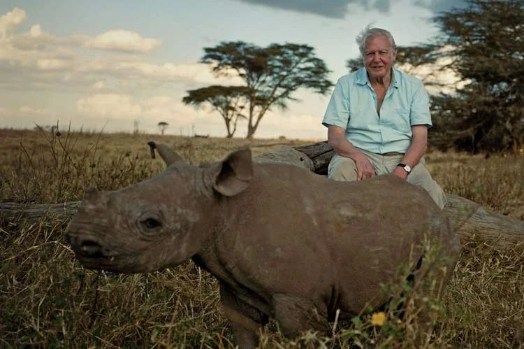 Happy 100th Sir David! 5 Reasons To Celebrate2