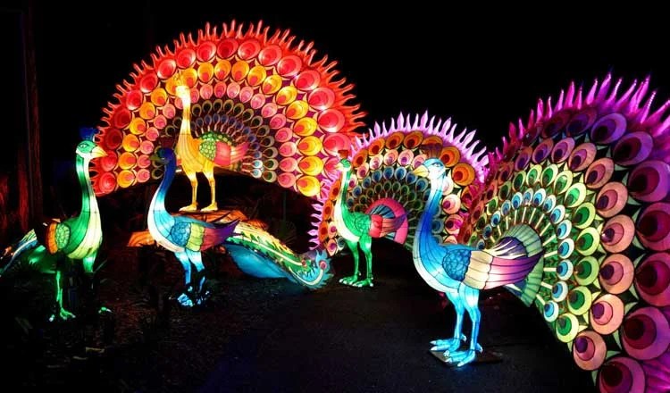 Spectacular Light Show Returns To Melbourne1