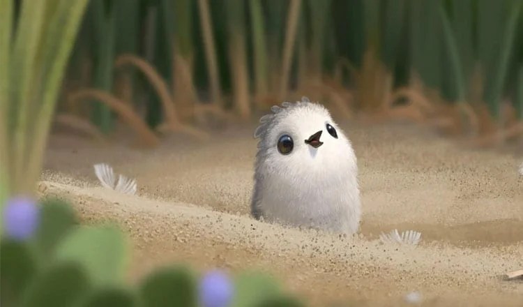 Watch The Adorable Bird Video That’s Melting The Internet
