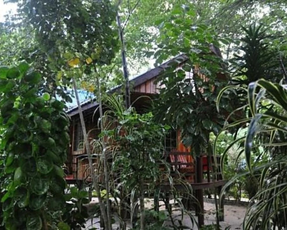 Palau Eco Lodge Resort