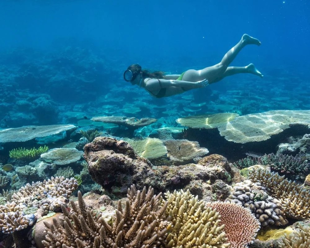 Eco Travel Destination Palau