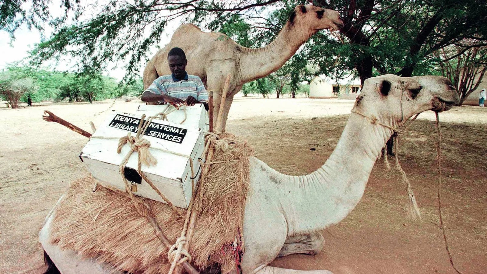 camel library
