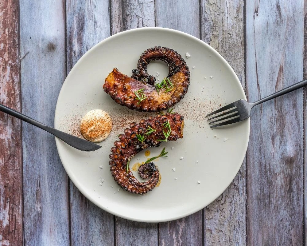 benefits of octopus