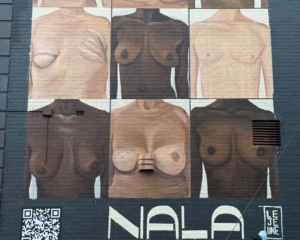 Nala Bras and Breast