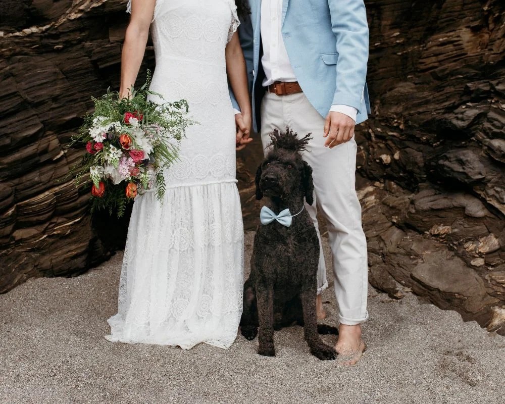 Pet-Friendly Wedding