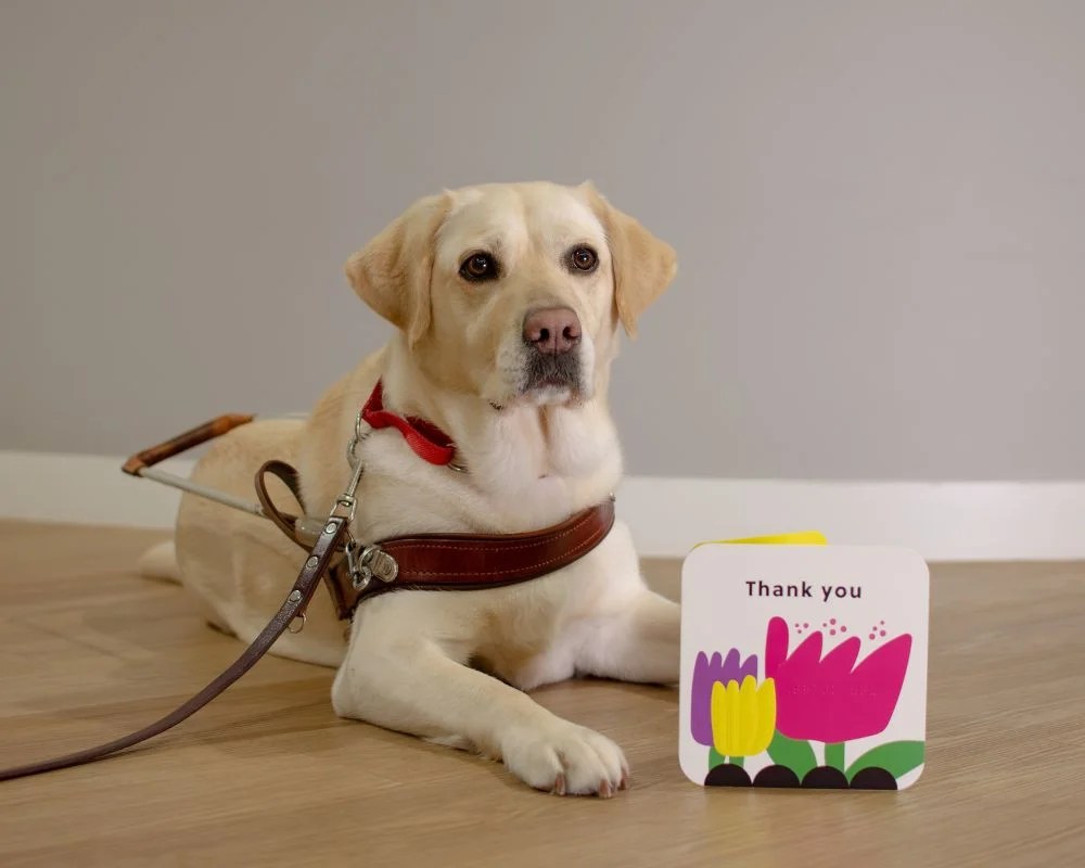 Hallmark accessible greeting card for blindness
