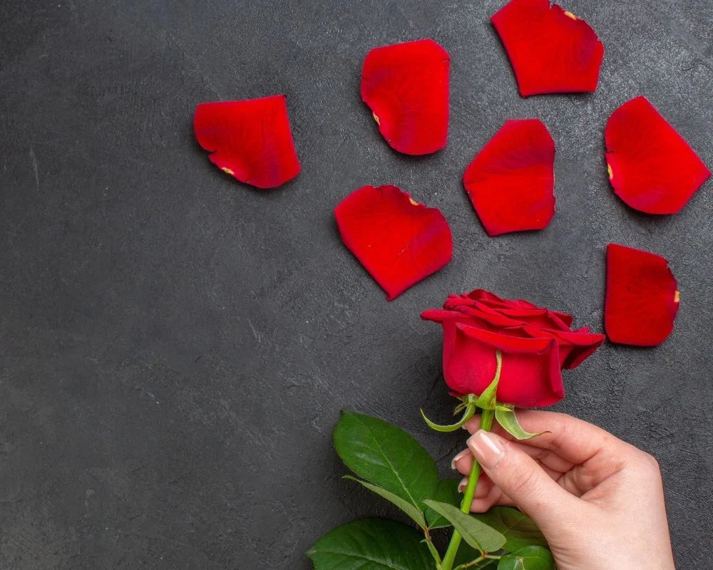 Broken Heart Valentine's Day
