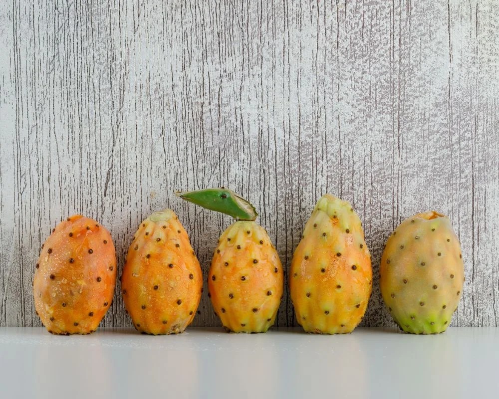 Prickly pear in hair care