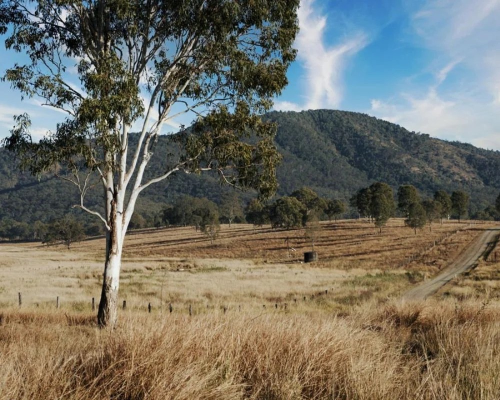 All-Hybrid Mazda CX-80 Warrumbungles and Mudgee road trip