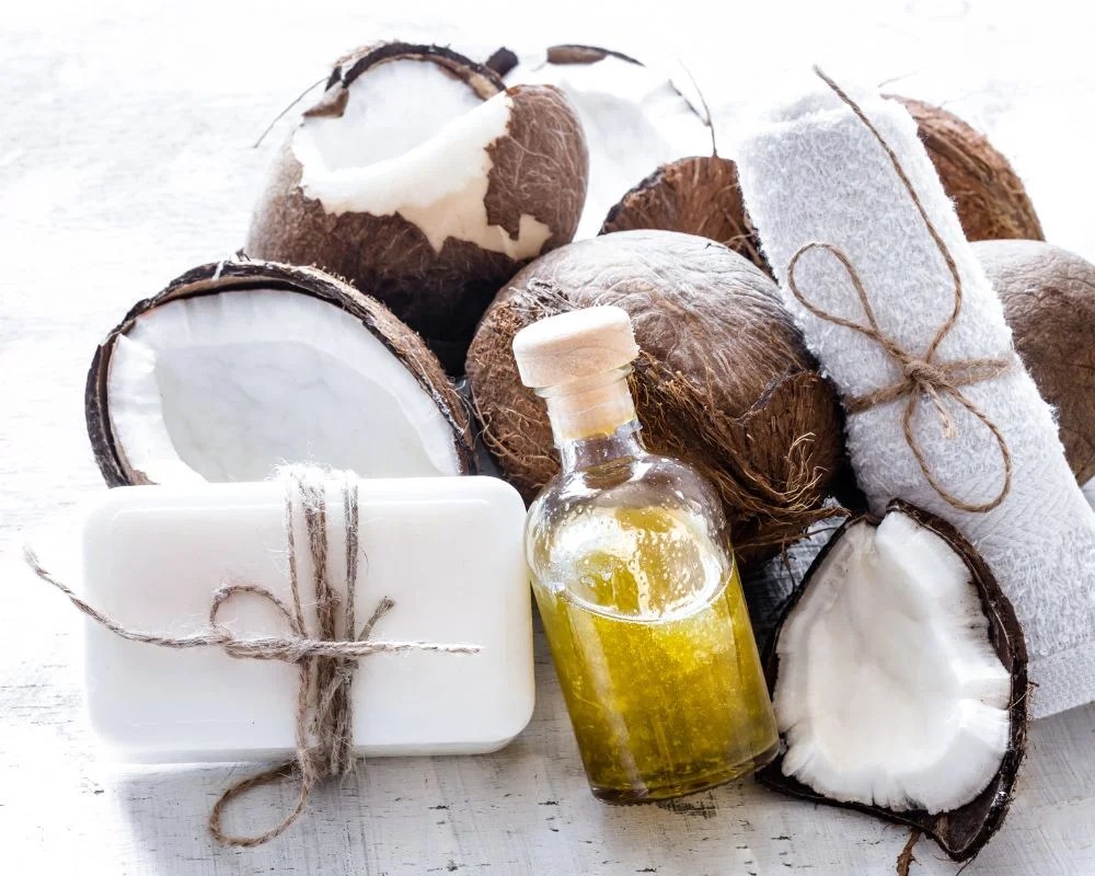 World Coconut Day Coconut Oil Beauty