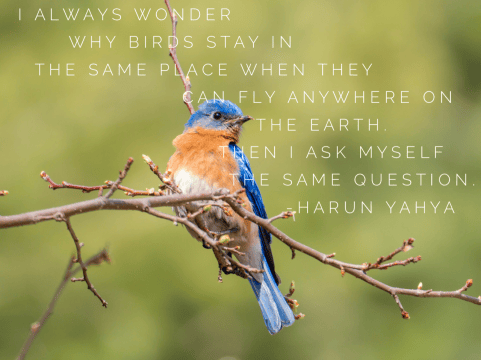 IMG_5837.PNG