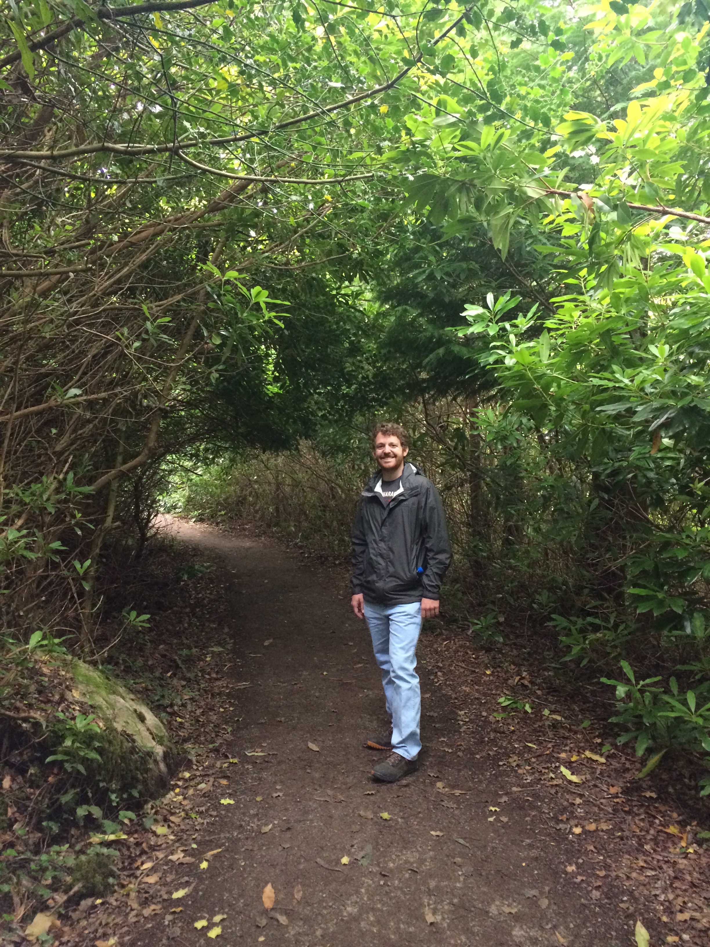 Hiking in Killarney