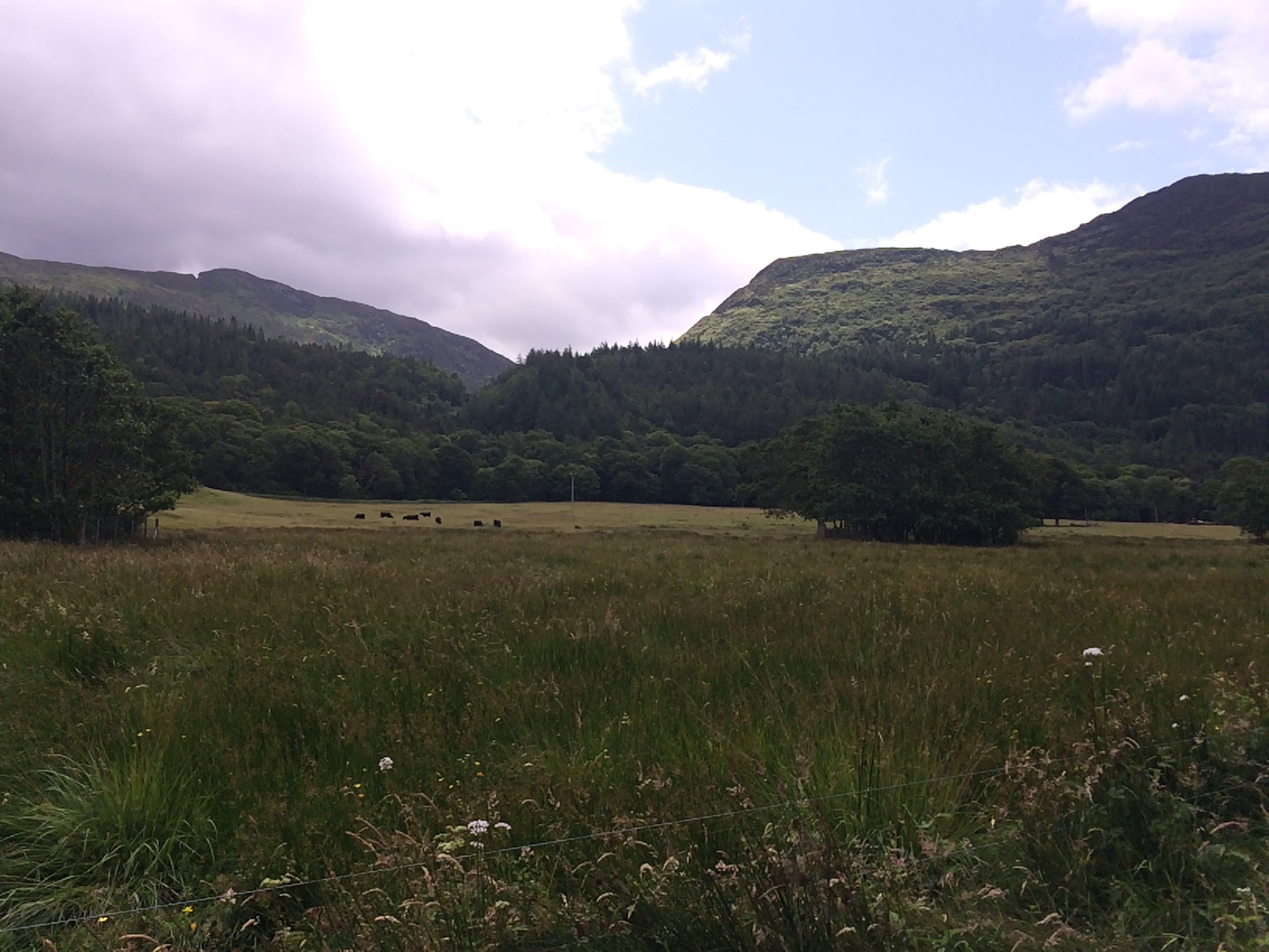 Killarney National Park