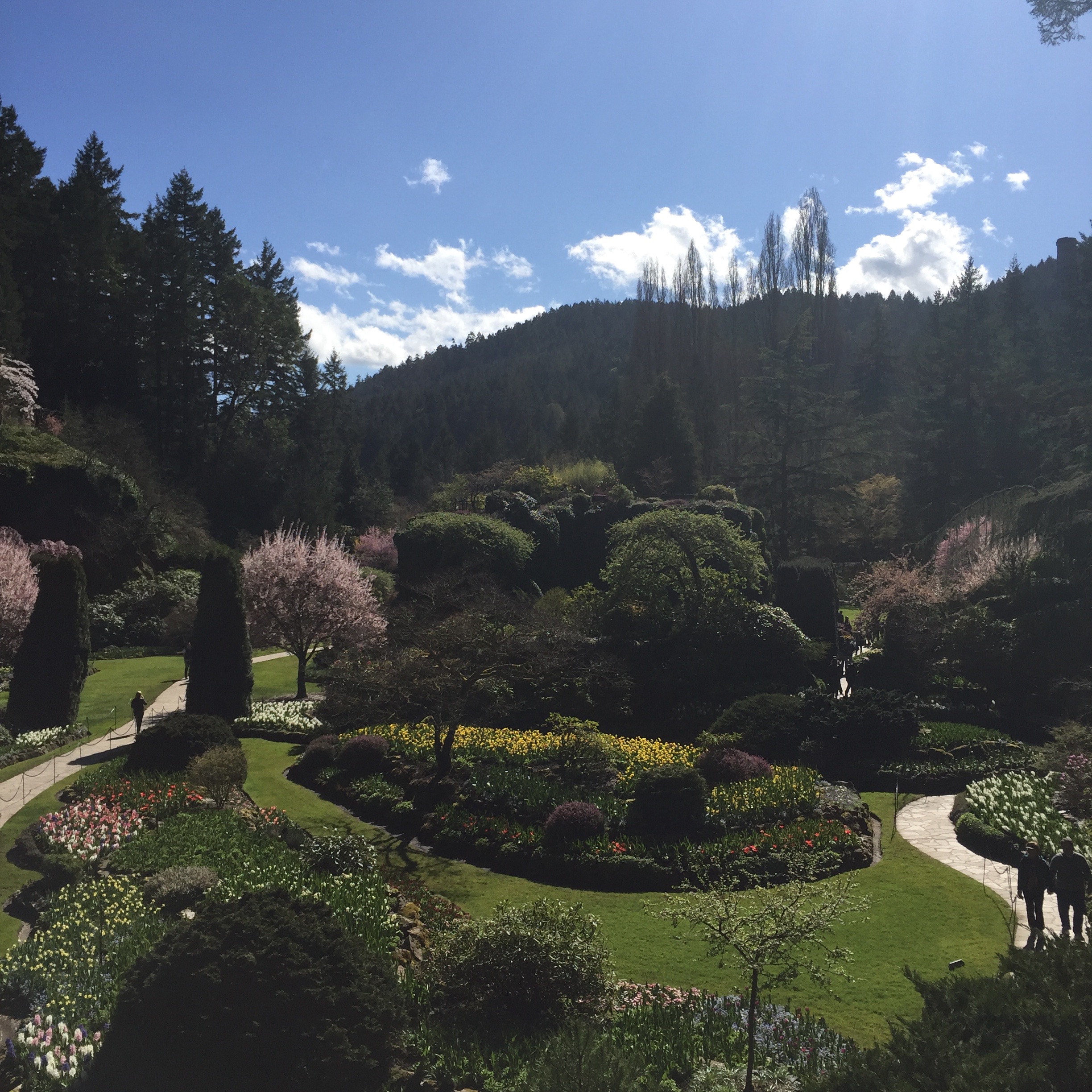 Sunken Garden