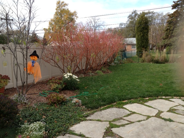 our backyard view from deck fall 2014
