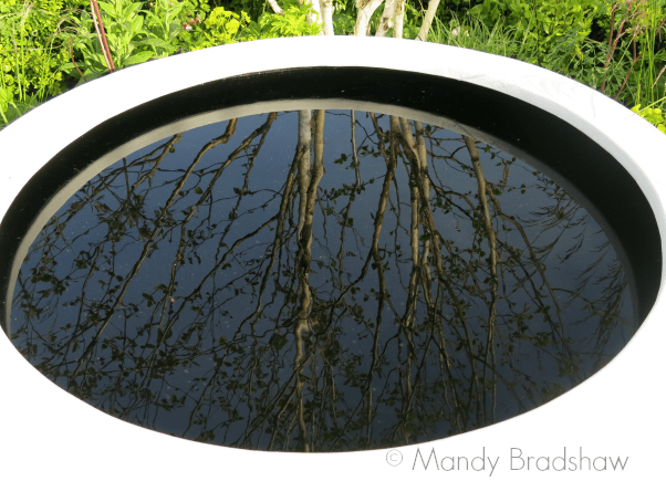 malvern spring festival