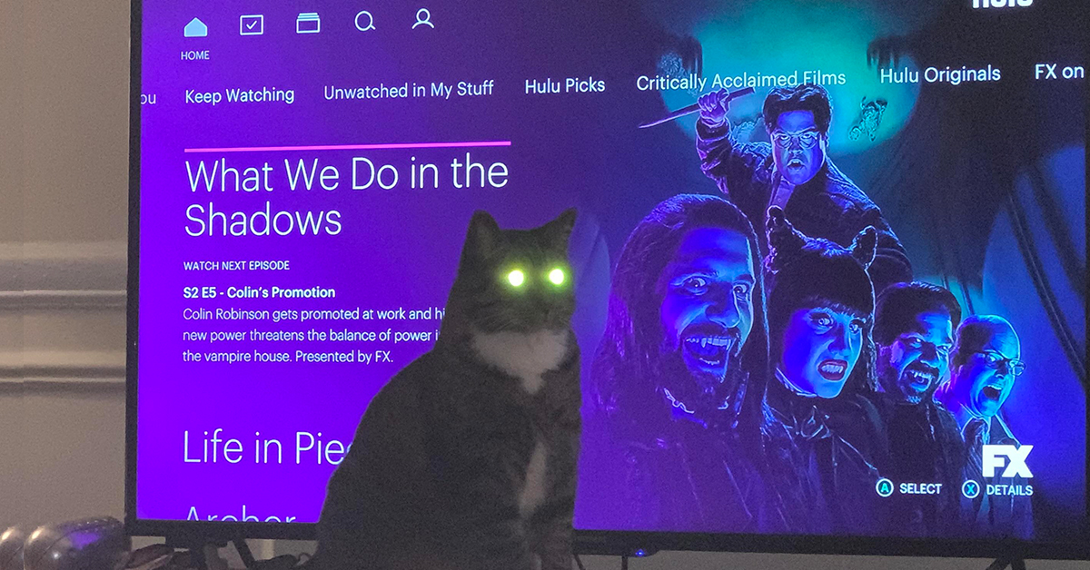 The Chive Archiveteam - Retina Sunset Illustrations for Desktop