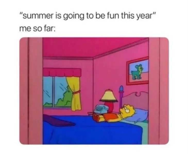 To commemorate all of the hilarious memes that came out this year,. Phew It S Getting Hot In Here With These Summer Memes 30 Photos