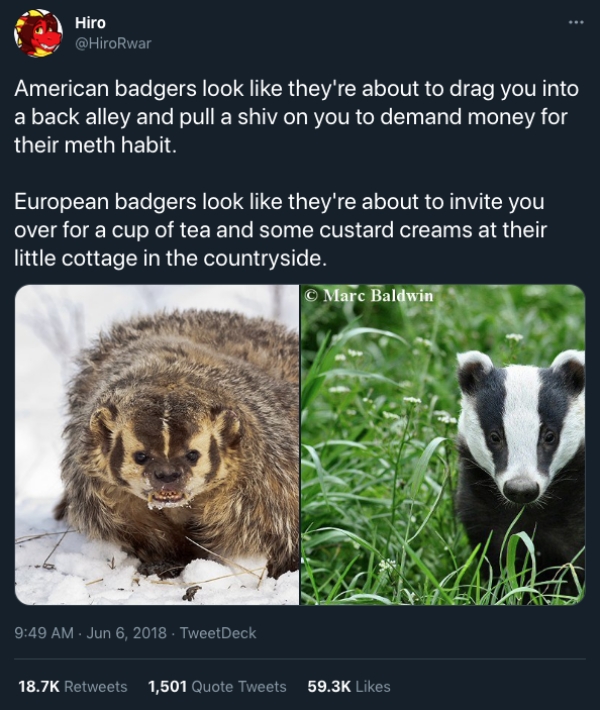 Oddly Specific And Oddly Relatable Bits On The Internet - Amazing 4K Space Designs | Free Download