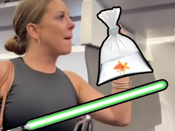 Making Tsa Look Scrolller - Gradient Illustration Collection - 4K Quality