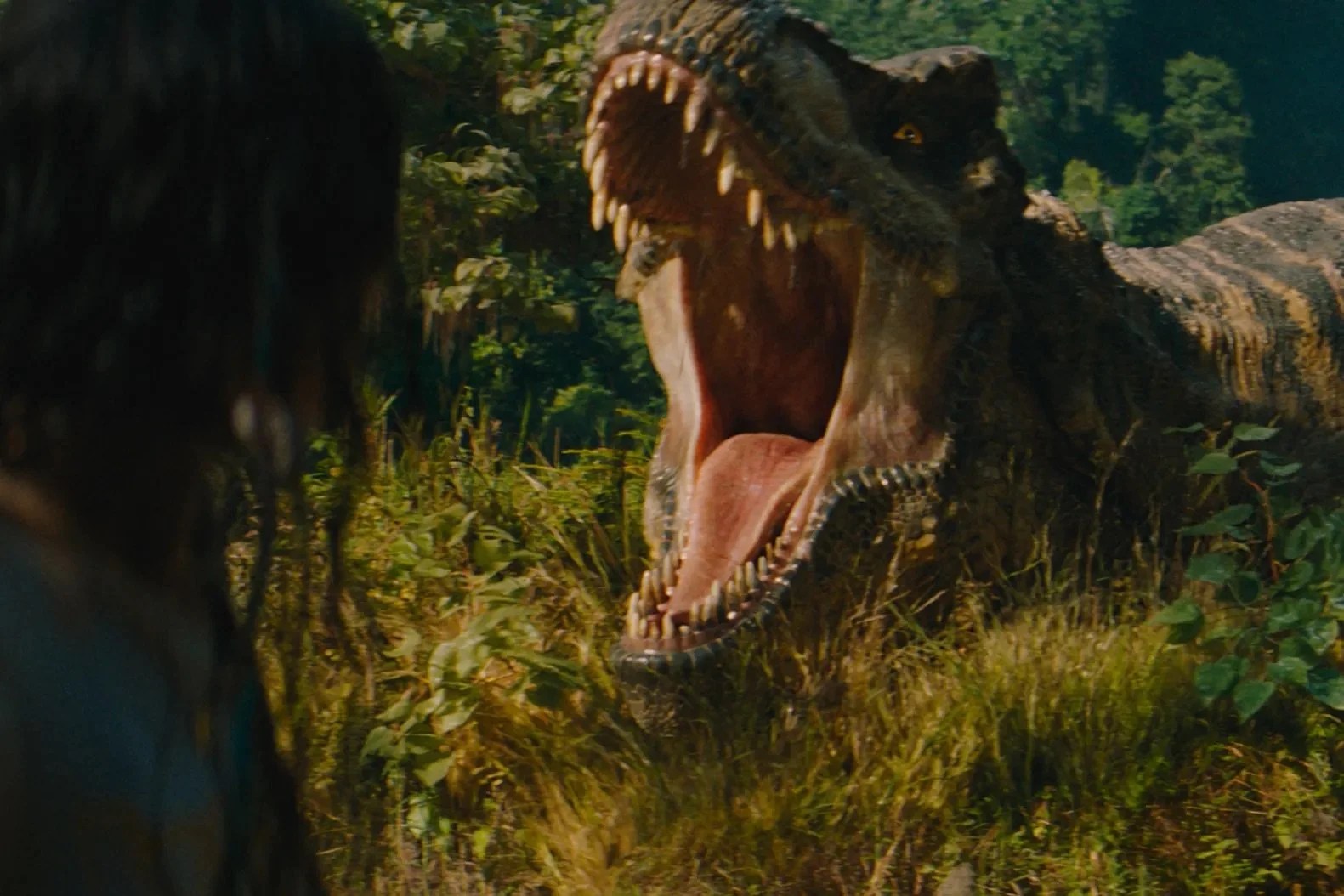 One very angry T-Rex in âJurassic World Rebirth.â - AMBLIN ENTERTAINMENT/UNIVERSAL PICTURES