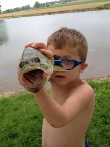 fish