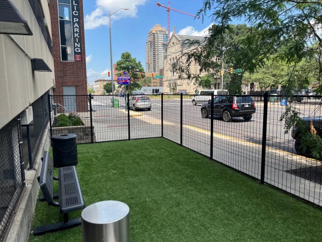 CommercialDogPoopCleanUp