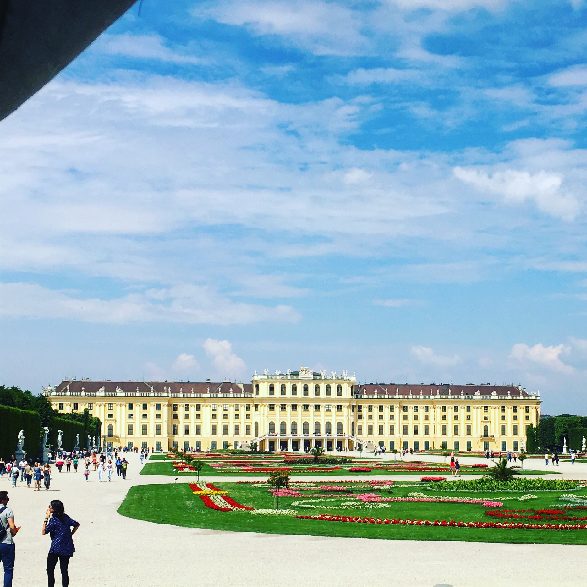 The palace from the back gardens.