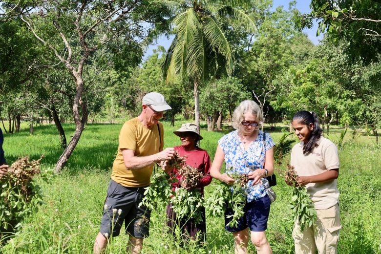 Sustainable Soil Journey