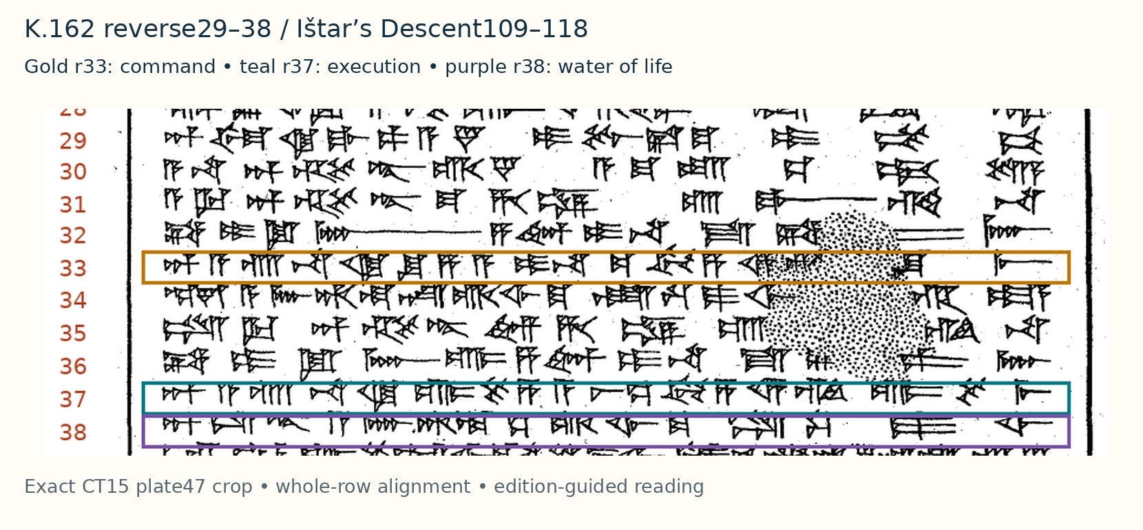 Exact K.162 reverse29–38 crop from CT15 plate47: gold r33 command; teal r37 execution; purple r38 water-of-life clause. Modern whole-row annotations only. eBL controls signs, damage/restoration and translation; edition-guided, not photograph-decoded.