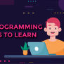 Top 3 Easiest Programming Languages To Learn 2021 - TheCodeWork