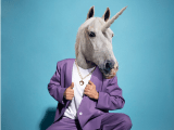 Unicorn Hunters How To Spot The Next Billion Dollar Startup Thecodework