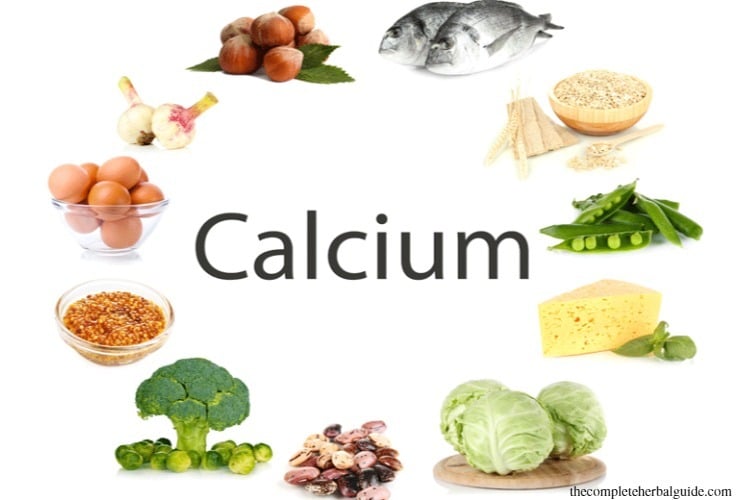 Top 10 Calcium Rich Foods
