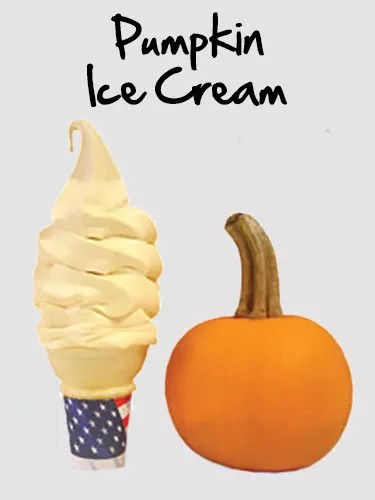 The Cone's Pumpkin Ice Cream