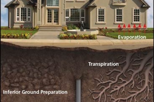 What are Causes for Foundation Failure in Buildings?