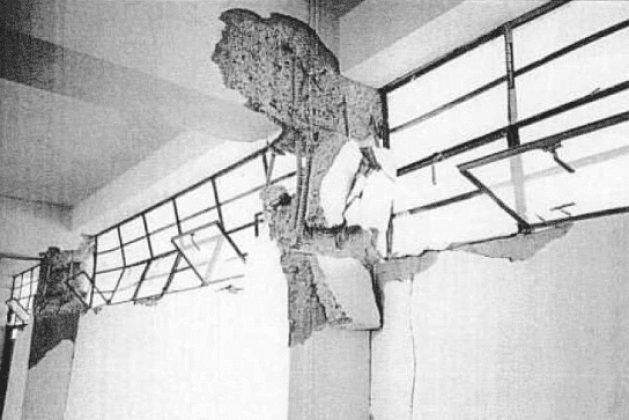 Short Column Effect in Multi-Storey Buildings