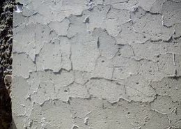 What is Crazing Crack in Plaster?