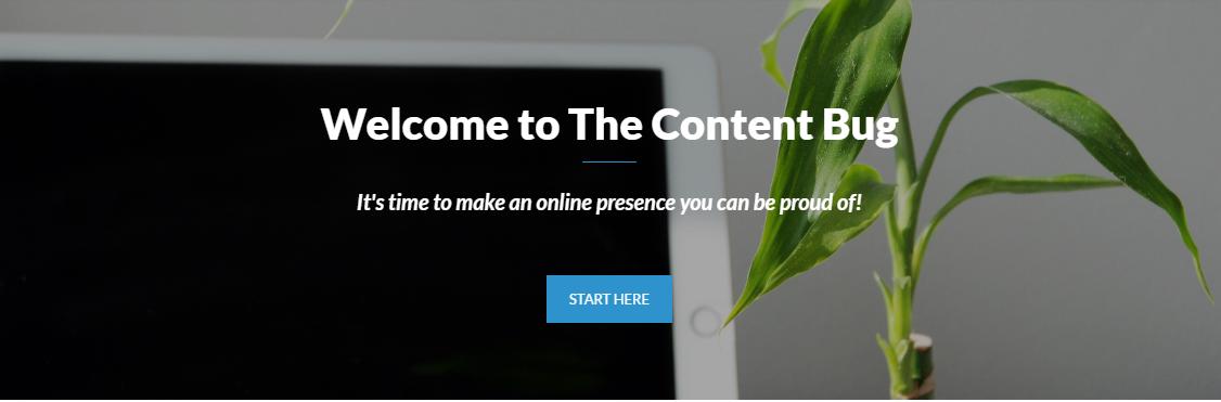 Current Header for The Content Bug