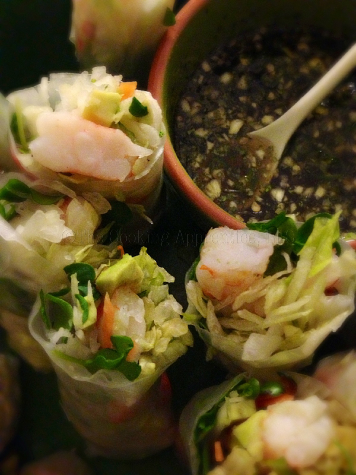 Shrimp Spring Rolls with Dipping Sauce