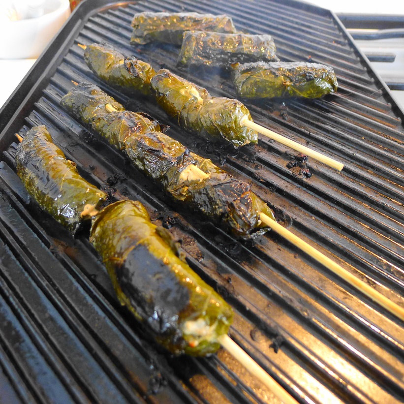 Step 8a_Optional without the sticks