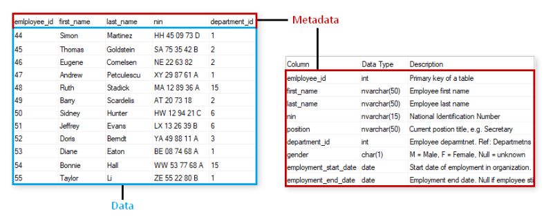 Metadata In Dbms Understanding Types - Light Illustration Collection - 8K Quality