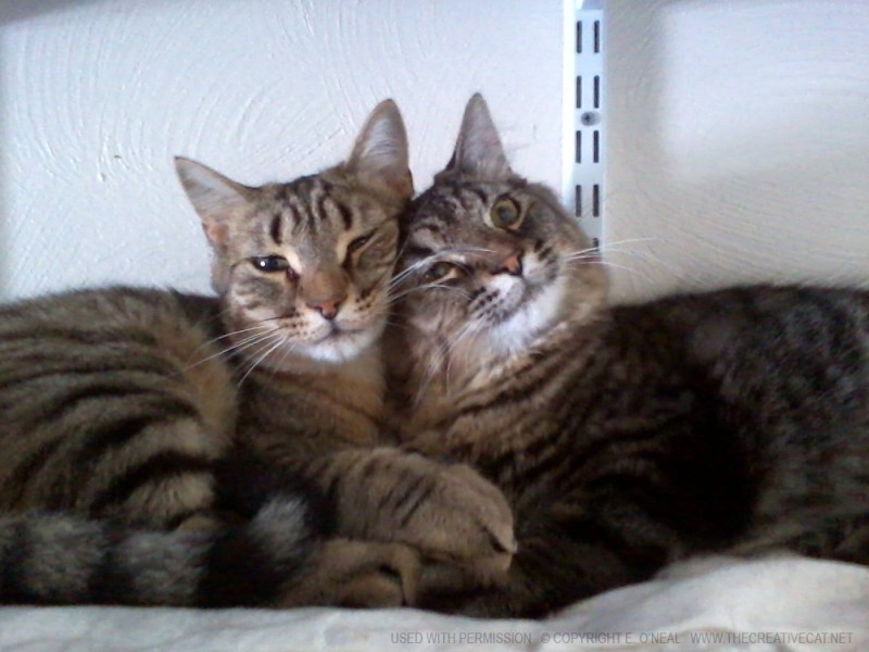 And snuggling some more.