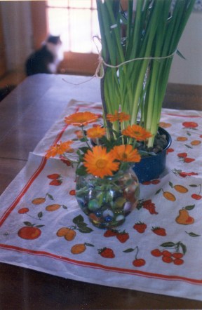 reference photo for painting