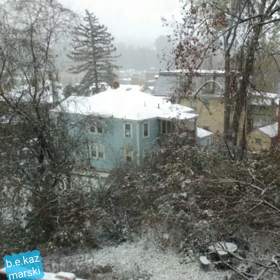 View from the back window.
