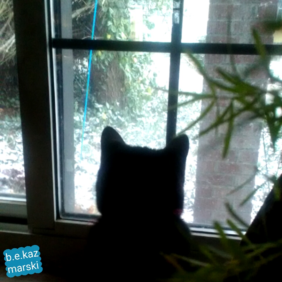 Mimi looks out at the snow.