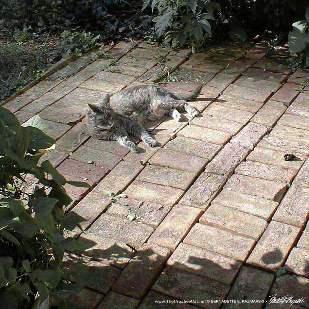 June, Warm Bricks