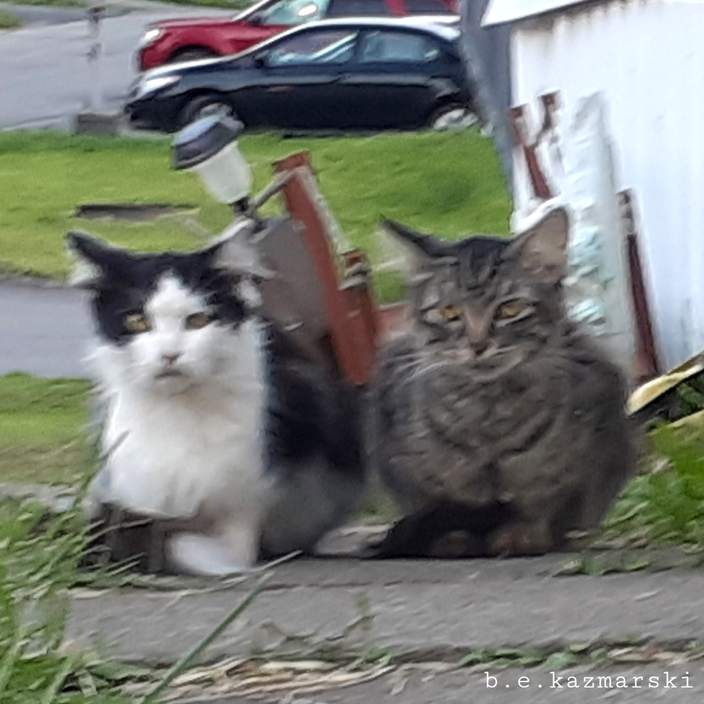 Trailer-park-two