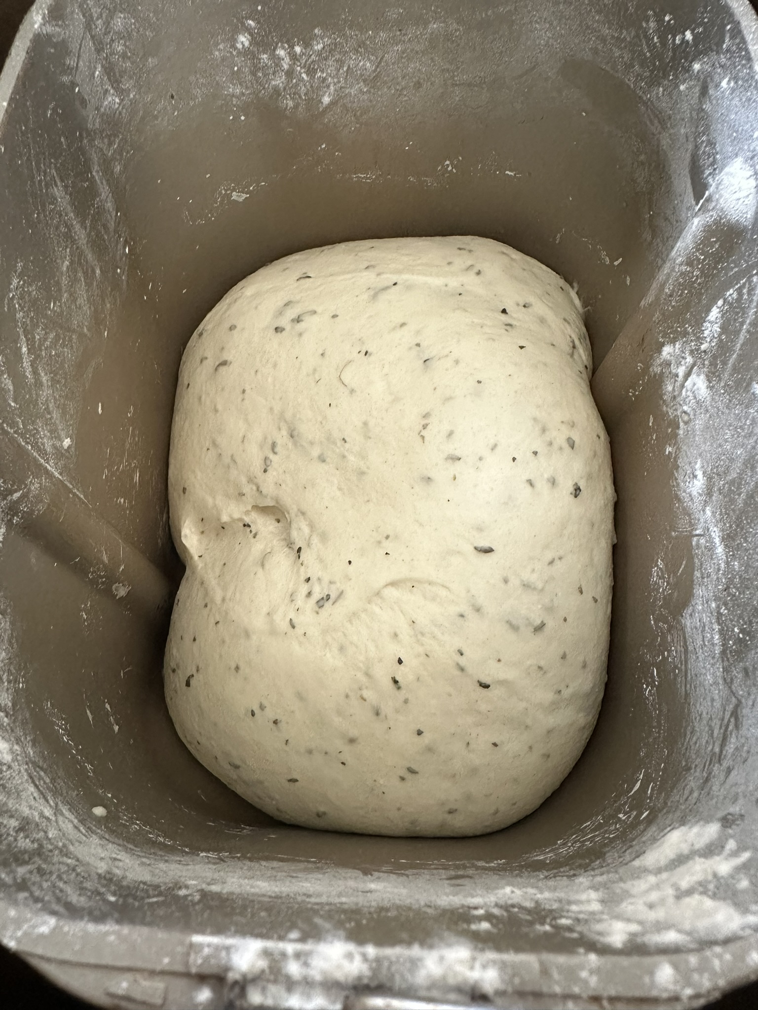 bread machine dough 1